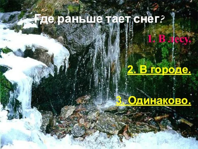 Где раньше тает снег? 1. В лесу. 2. В городе. 3. Одинаково.