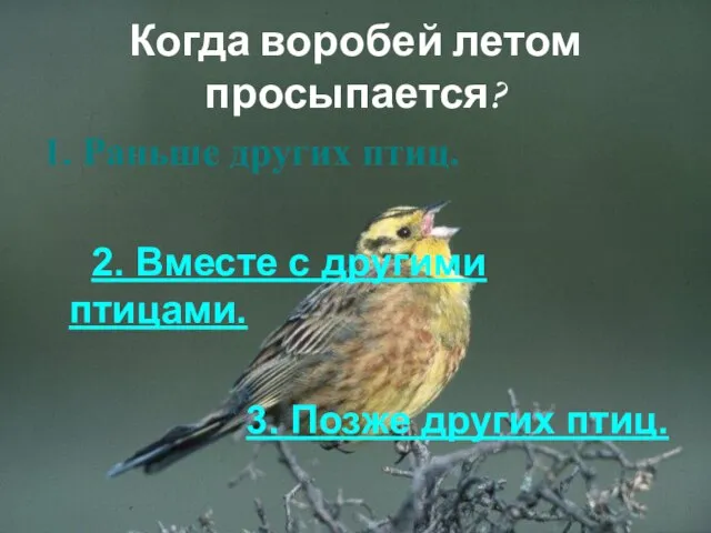 Когда воробей летом просыпается? 1. Раньше других птиц. 2. Вместе с другими