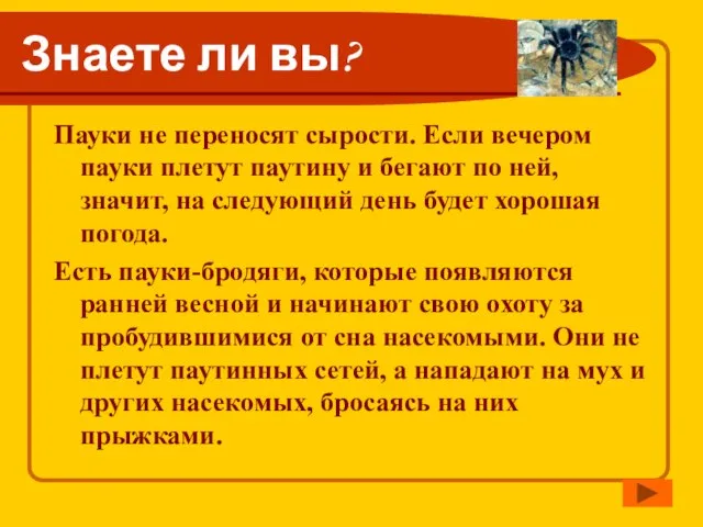 Знаете ли вы? Пауки не переносят сырости. Если вечером пауки плетут паутину