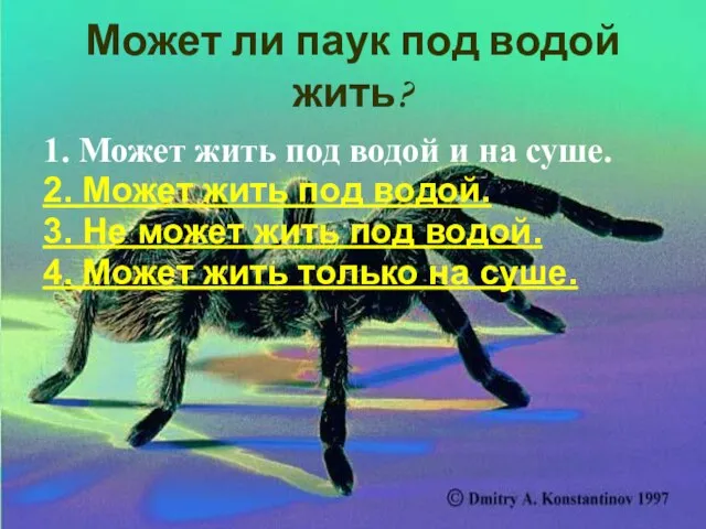 Может ли паук под водой жить? 1. Может жить под водой и