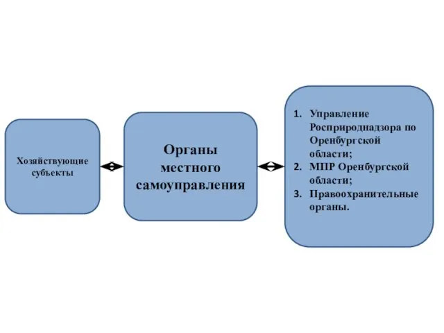 Органы местного самоуправления Управление Росприроднадзора по Оренбургской области; МПР Оренбургской области; Правоохранительные органы. Хозяйствующие субъекты