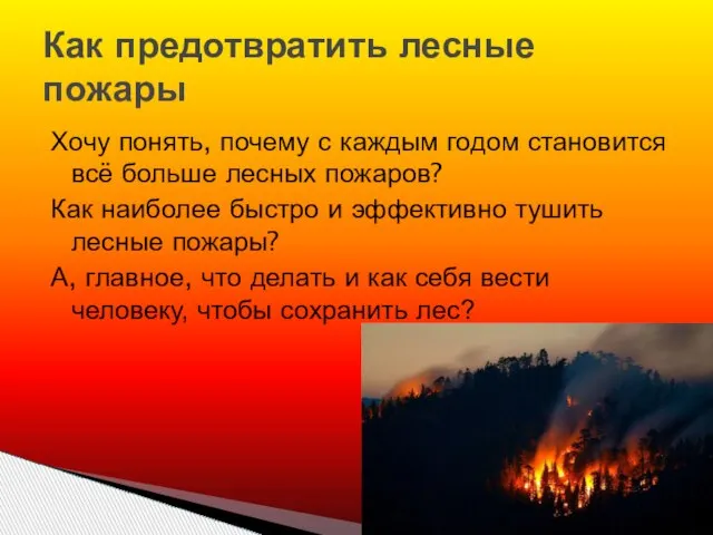 Хочу понять, почему с каждым годом становится всё больше лесных пожаров? Как