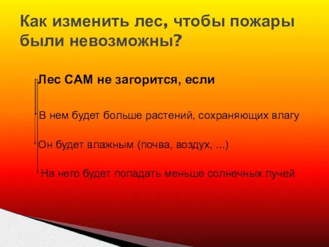 Как изменить лес, чтобы пожары были невозможны? Лес САМ не загорится, если