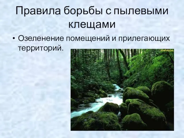 Правила борьбы с пылевыми клещами Озеленение помещений и прилегающих территорий.