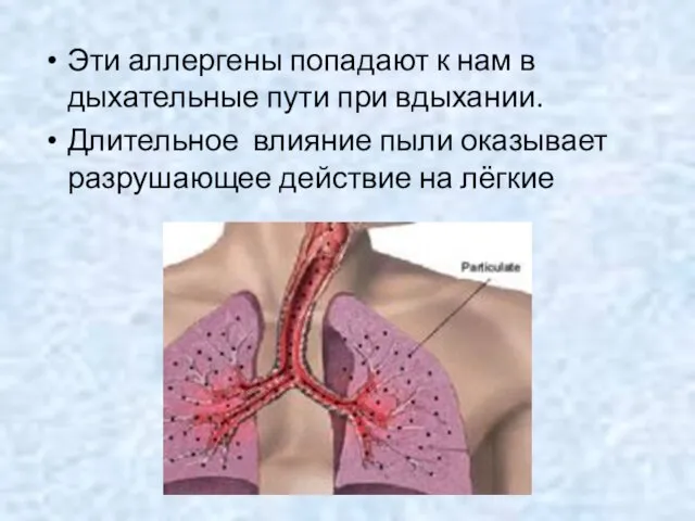 Эти аллергены попадают к нам в дыхательные пути при вдыхании. Длительное влияние