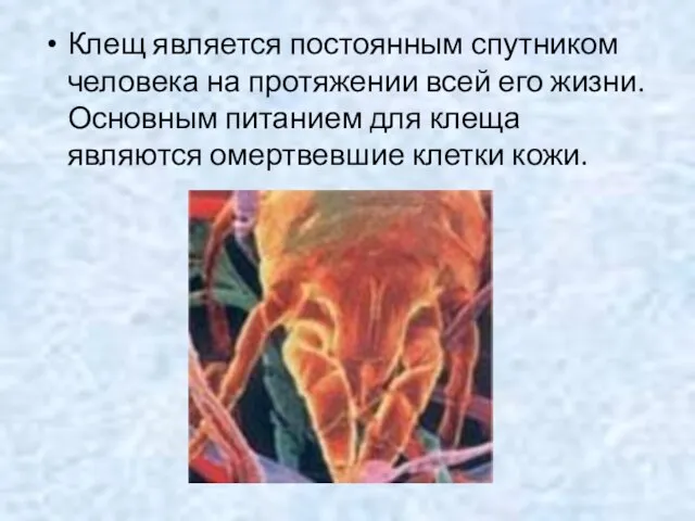 Клещ является постоянным спутником человека на протяжении всей его жизни. Основным питанием