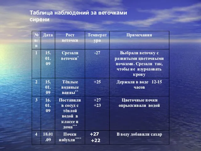 Таблица наблюдений за веточками сирени