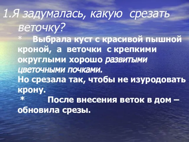 1.Я задумалась, какую срезать веточку? * Выбрала куст с красивой пышной кроной,