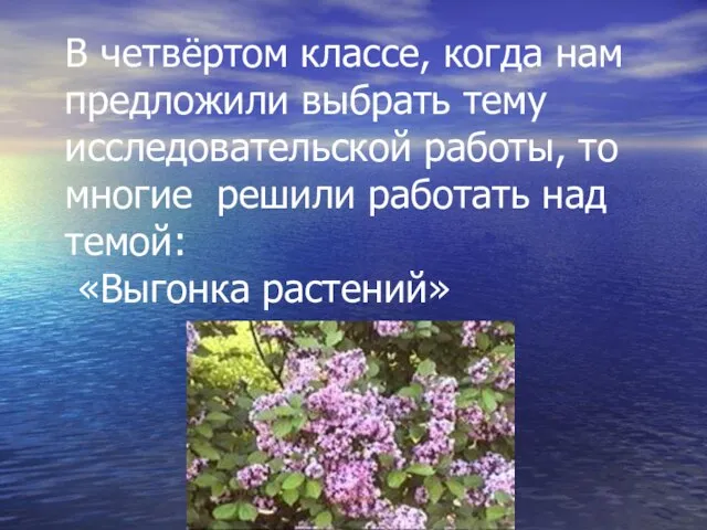 В четвёртом классе, когда нам предложили выбрать тему исследовательской работы, то многие