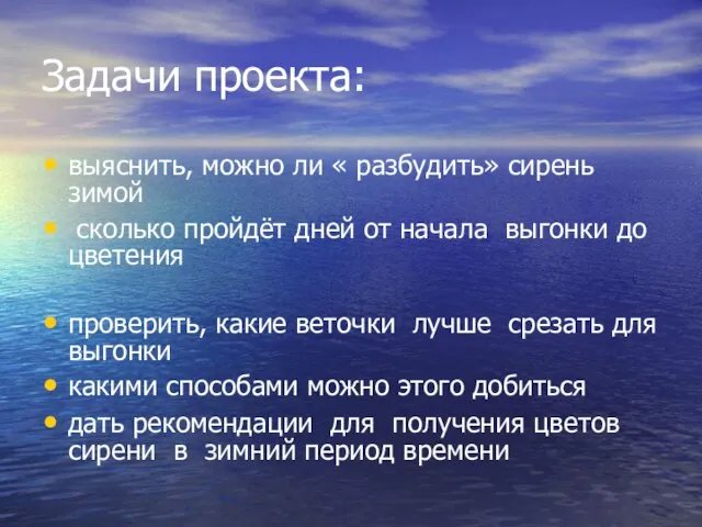 Задачи проекта: выяснить, можно ли « разбудить» сирень зимой сколько пройдёт дней