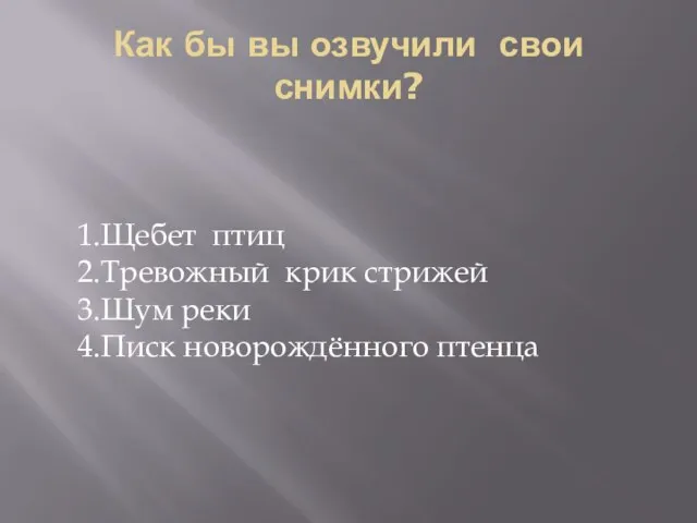 Как бы вы озвучили свои снимки? 1.Щебет птиц 2.Тревожный крик стрижей 3.Шум реки 4.Писк новорождённого птенца