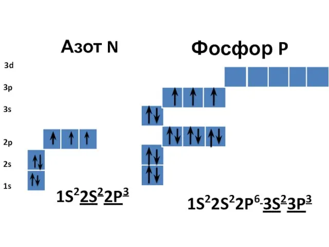 Азот N Фосфор P 1S22S22P3 1S22S22P6 3S23P3 3d 3p 3s 2p 2s 1s