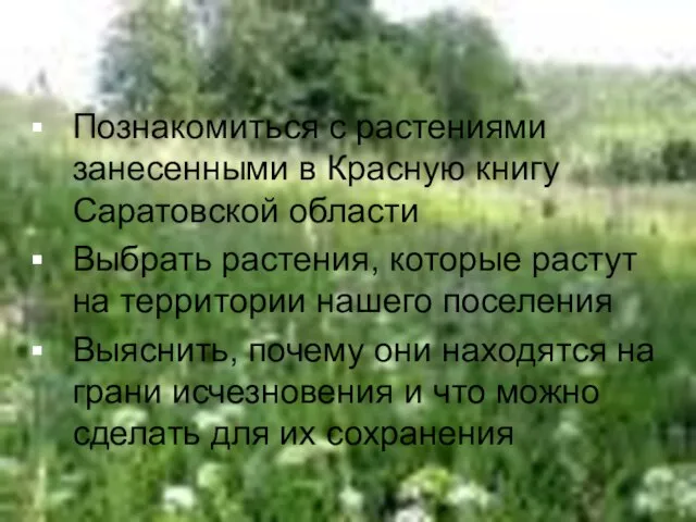 Познакомиться с растениями занесенными в Красную книгу Саратовской области Выбрать растения, которые