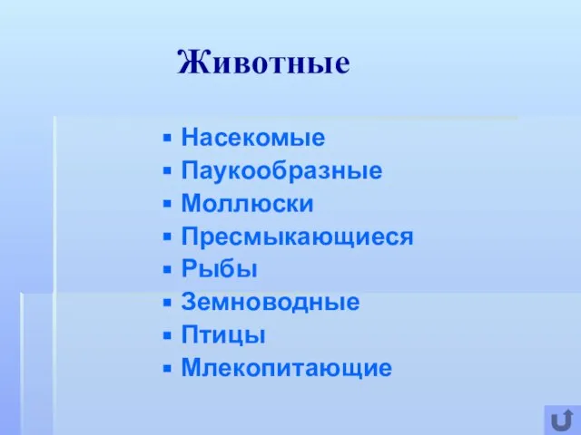 Животные Насекомые Паукообразные Моллюски Пресмыкающиеся Рыбы Земноводные Птицы Млекопитающие