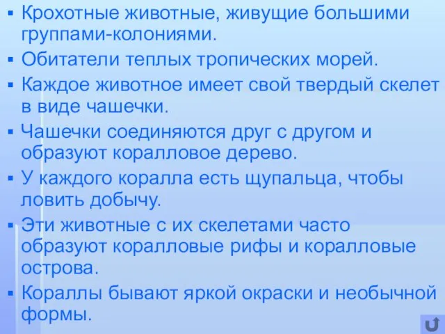 Крохотные животные, живущие большими группами-колониями. Обитатели теплых тропических морей. Каждое животное имеет