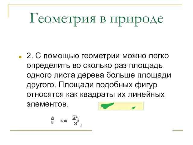 Геометрия в природе 2. С помощью геометрии можно легко определить во сколько