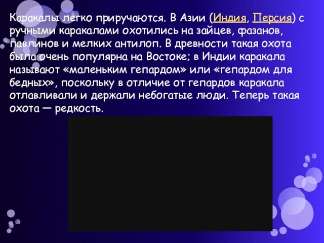 Каракалы легко приручаются. В Азии (Индия, Персия) с ручными каракалами охотились на