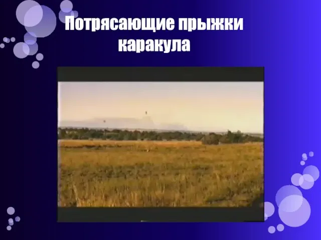 Потрясающие прыжки каракула