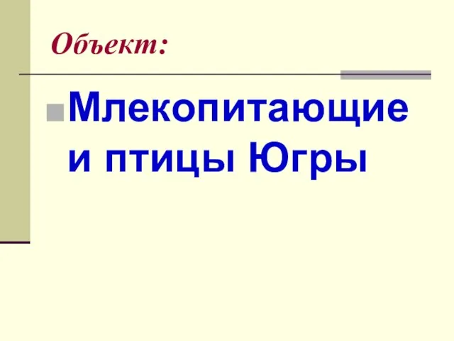 Объект: Млекопитающие и птицы Югры