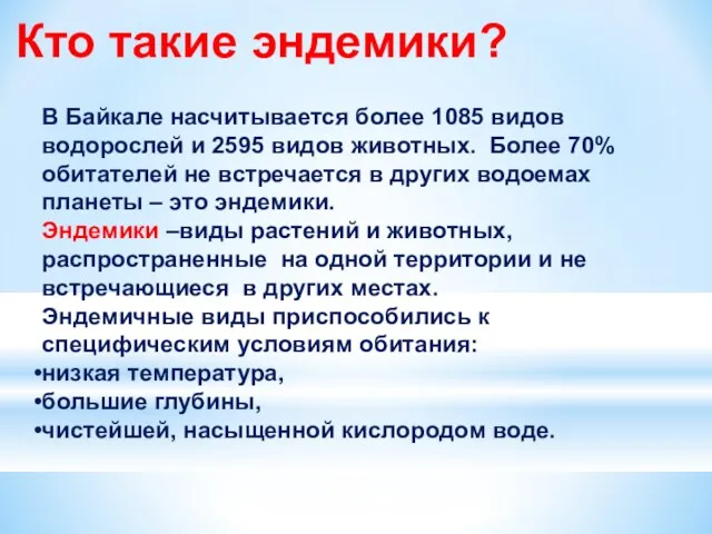 Кто такие эндемики? В Байкале насчитывается более 1085 видов водорослей и 2595