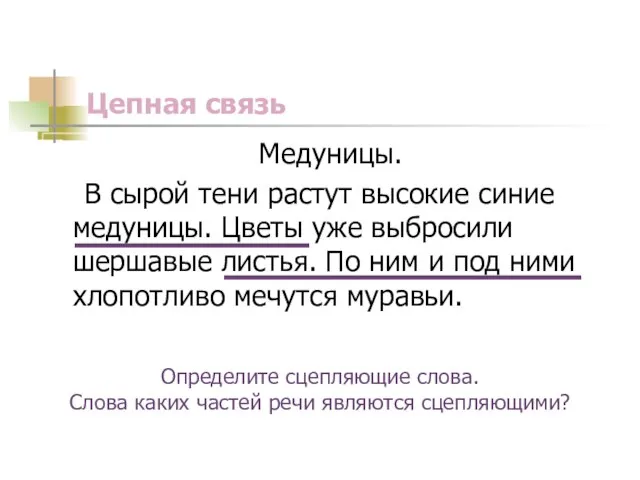 Цепная связь Медуницы. В сырой тени растут высокие синие медуницы. Цветы уже