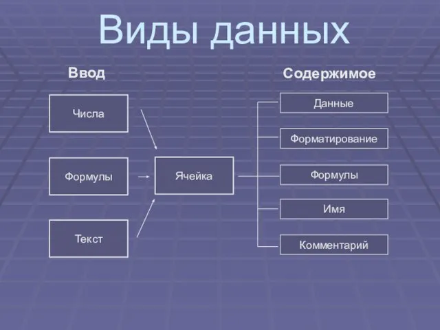 Числа Виды данных Ячейка Формулы Текст Ввод