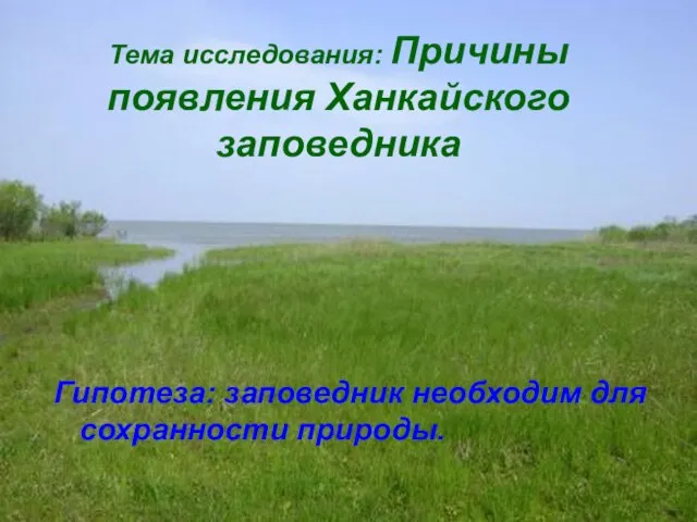 Тема исследования: Причины появления Ханкайского заповедника Гипотеза: заповедник необходим для сохранности природы.