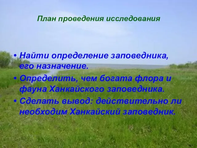 План проведения исследования Найти определение заповедника, его назначение. Определить, чем богата флора