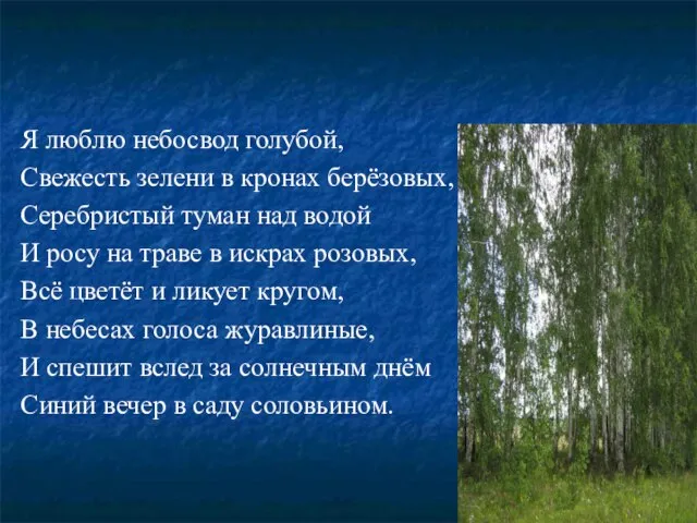 Я люблю небосвод голубой, Свежесть зелени в кронах берёзовых, Серебристый туман над