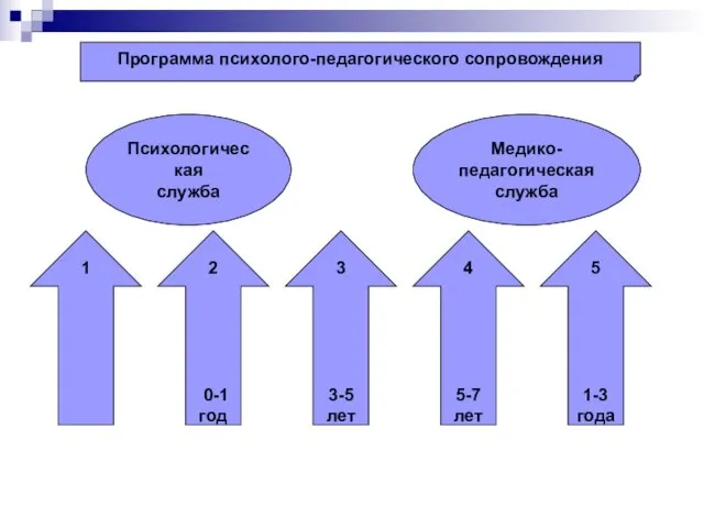 Программа психолого-педагогического сопровождения Психологическая служба Медико-педагогическая служба 1 2 0-1 год 4