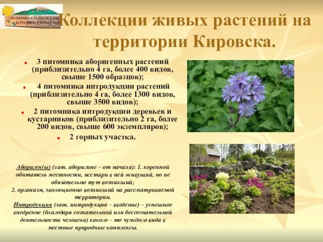 Коллекции живых растений на территории Кировска. 3 питомника аборигенных растений (приблизительно 4