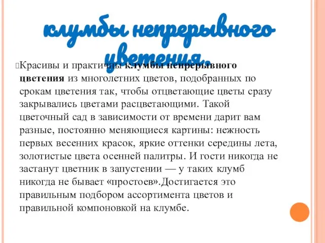 клумбы непрерывного цветения. Красивы и практичны клумбы непрерывного цветения из многолетних цветов,