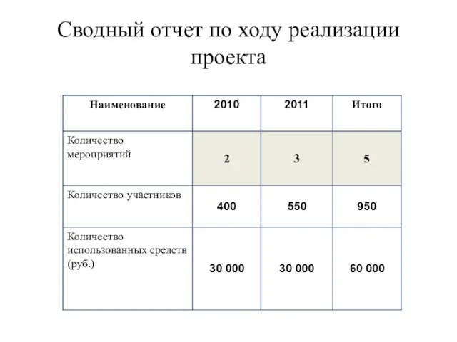 Сводный отчет по ходу реализации проекта