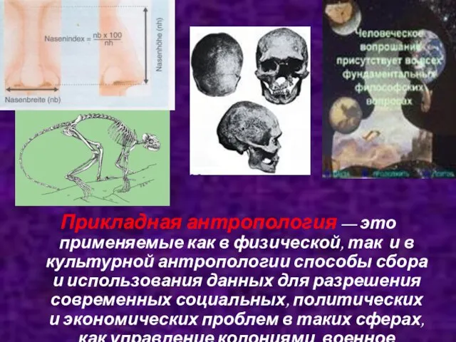 Прикладная антропология — это применяемые как в физической, так и в культурной