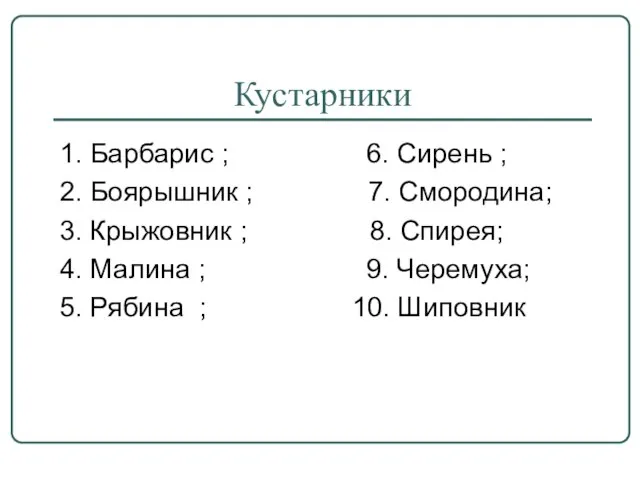 Кустарники 1. Барбарис ; 6. Сирень ; 2. Боярышник ; 7. Смородина;