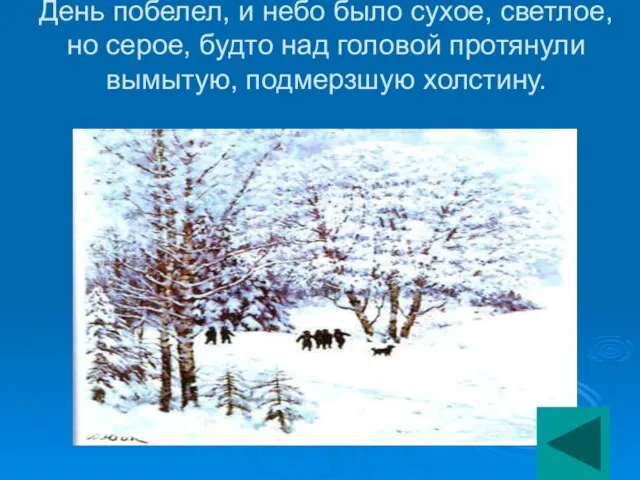 День побелел, и небо было сухое, светлое, но серое, будто над головой протянули вымытую, подмерзшую холстину.