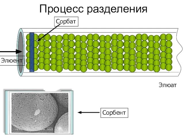 Процесс разделения Элюент Элюат