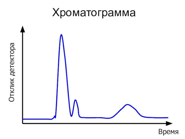 Хроматограмма Время Отклик детектора