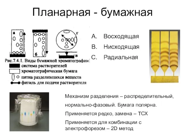 Планарная - бумажная Восходящая Нисходящая Радиальная Механизм разделения – распределительный, нормально-фазовый. Бумага