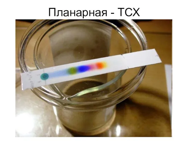 Планарная - ТСХ