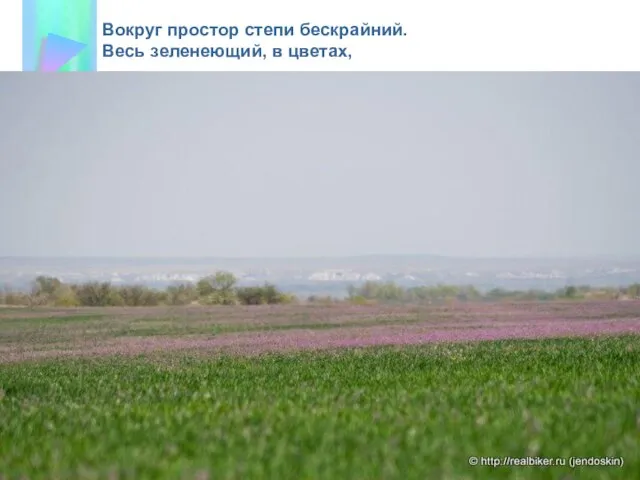 Вокруг простор степи бескрайний. Весь зеленеющий, в цветах,