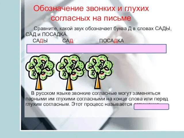 Обозначение звонких и глухих согласных на письме Сравните, какой звук обозначает буква