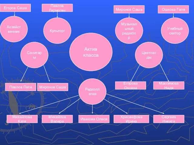 Актив класса Учебный сектор Санитары Цветоводы Хозяйственник Михайлова Катя Михайлов Валера Ивакова