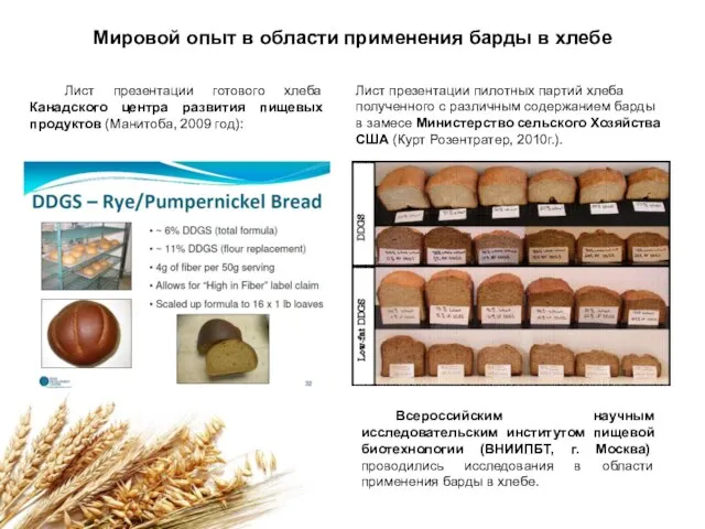Мировой опыт в области применения барды в хлебе Лист презентации готового хлеба