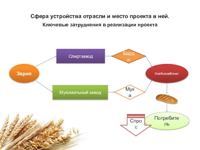 Сфера устройства отрасли и место проекта в ней. Зерно Хлебокомбинат Спиртзавод Мукомольный