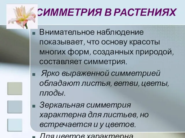 СИММЕТРИЯ В РАСТЕНИЯХ Внимательное наблюдение показывает, что основу красоты многих форм, созданных