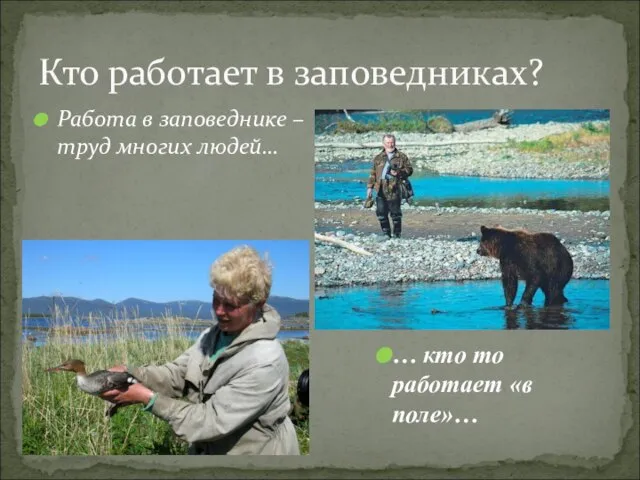 Кто работает в заповедниках? Работа в заповеднике – труд многих людей… …