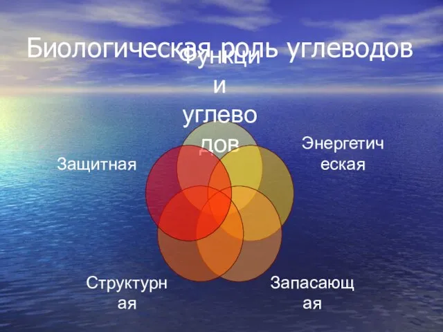 Биологическая роль углеводов