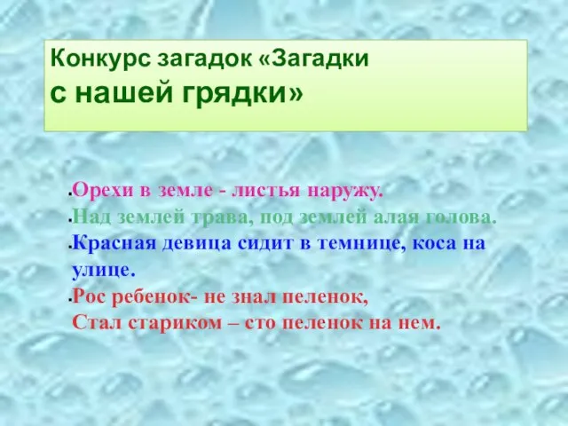 Конкурс загадок «Загадки с нашей грядки» Орехи в земле - листья наружу.