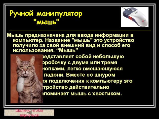 Мышь предназначена для ввода информации в компьютер. Название "мышь" это устройство получило